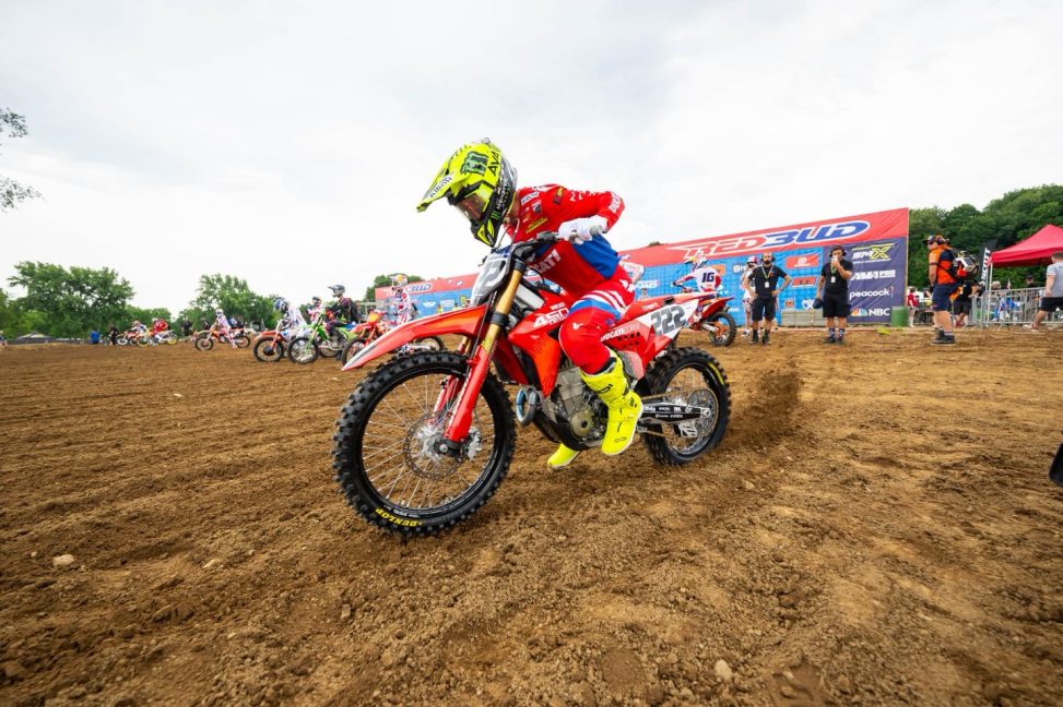 Cairoli Red Bud 25 2