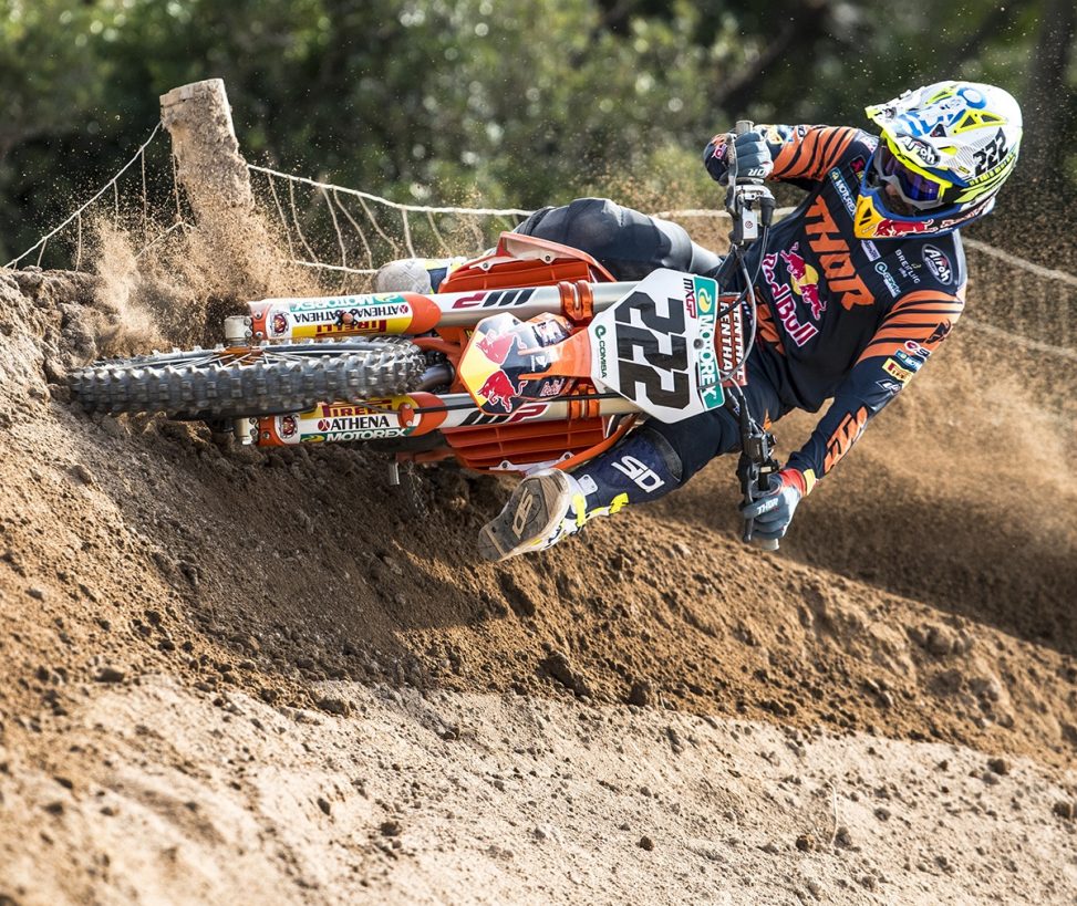 Cairoli-corner-2020-1