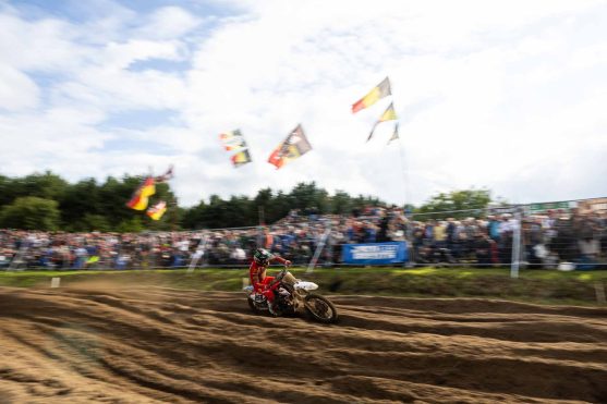 Coldenhoff Lommel 25