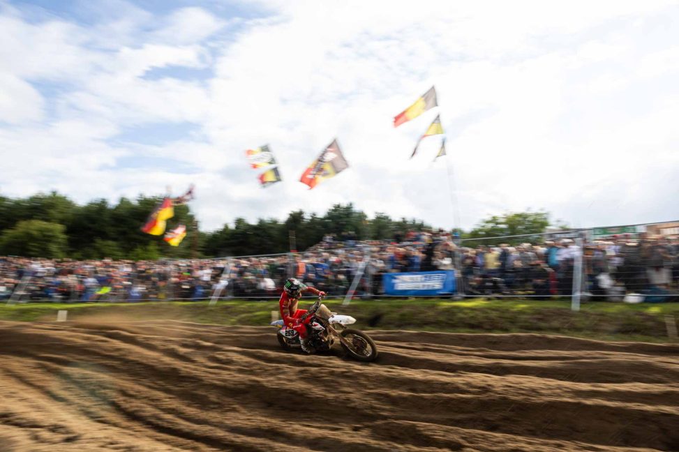 Coldenhoff Lommel 25