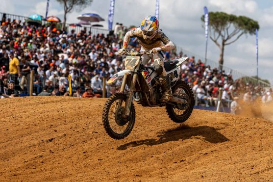 De Wolf Almonte 26 3