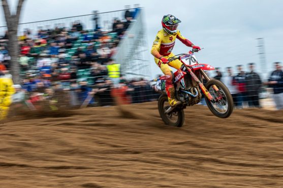 Fernandez Almonte 26