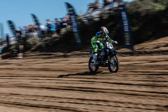 Gajser Riola Sardo 26