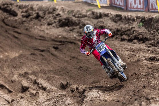 Guillod Argentina 25