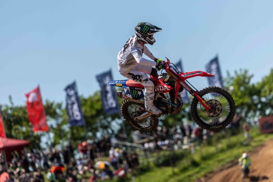 Herlings Alemania 26