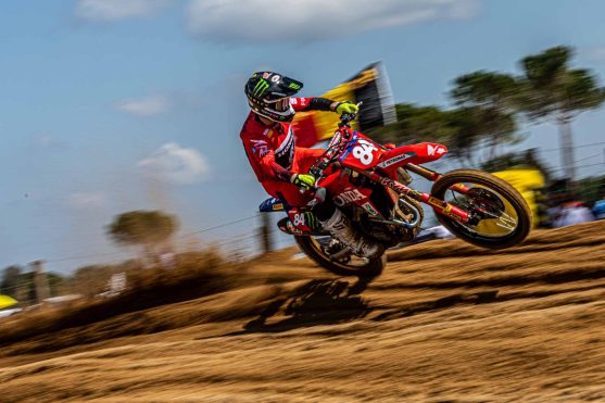 Herlings Almonte 26 4