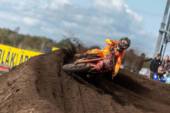 Herlings Arnhem 26 2