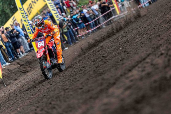 Herlings Arnhem 26