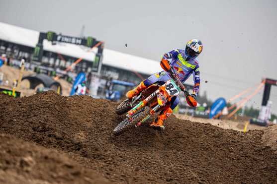Herlings China 25