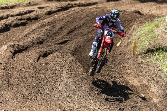 Herlings France 26