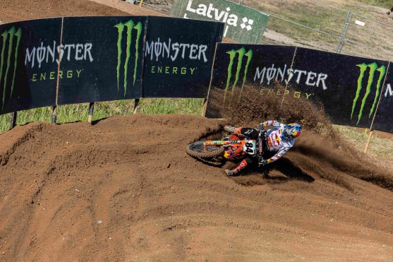 Herlings Latvia 23