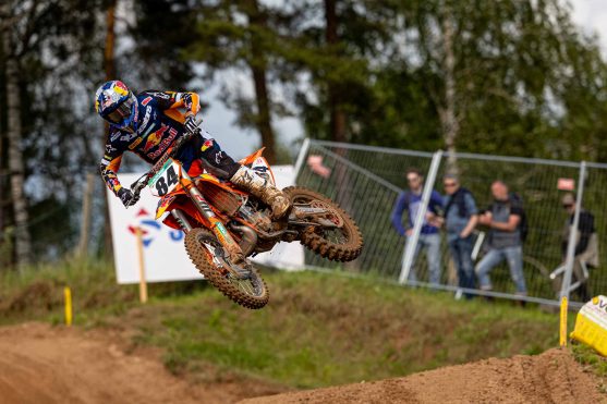 Herlings Latvia 25 4