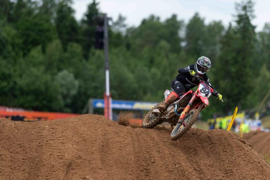 Herlings Letonia 26 2