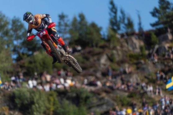 Herlings Suecia Uddevalla 26 3