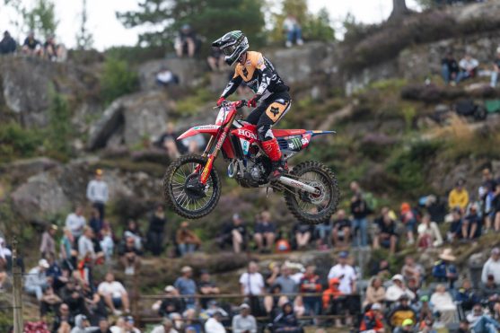 Herlings Suecia Uddevalla 26