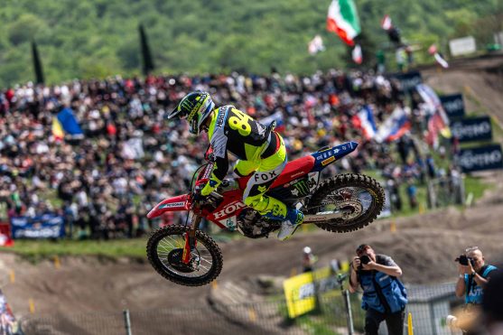 Herlings Trentino 26 2