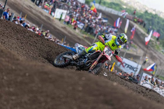 Herlings Trentino 26