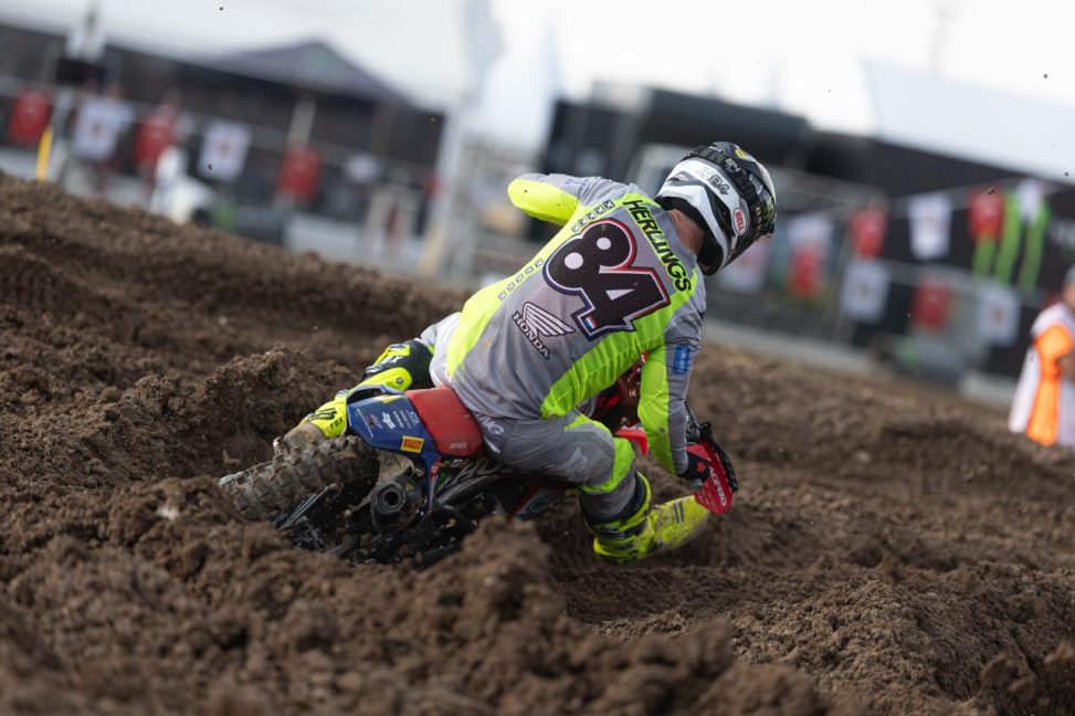 Herlings Turquia Afyon 26