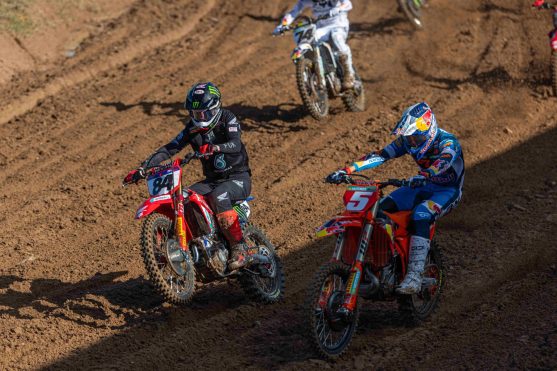 Herlings and Coenen Letonia 26
