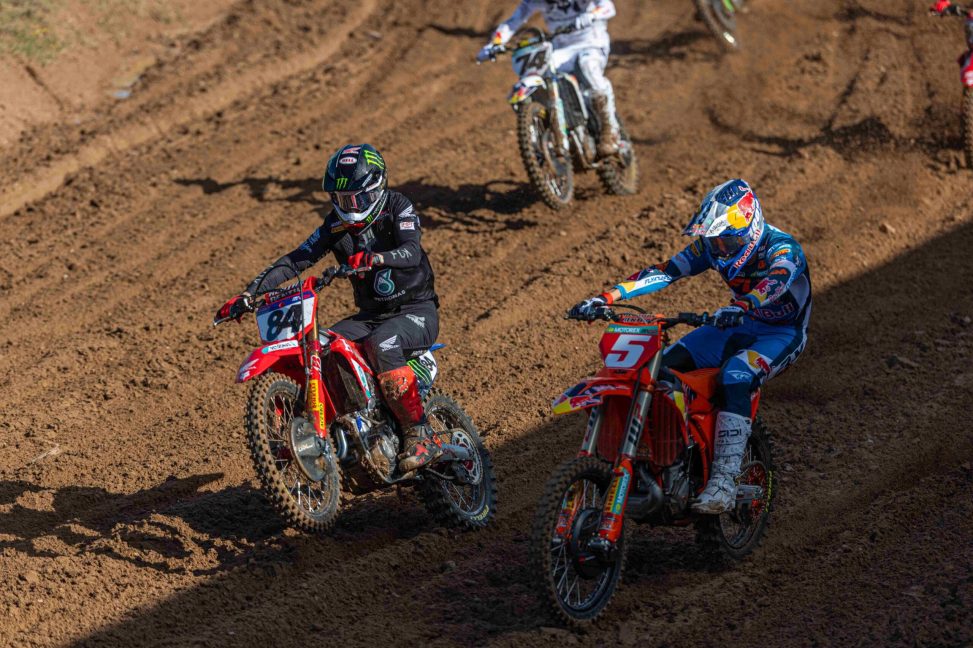 Herlings and Coenen Letonia 26