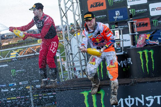 Herlings and Gajser 2021