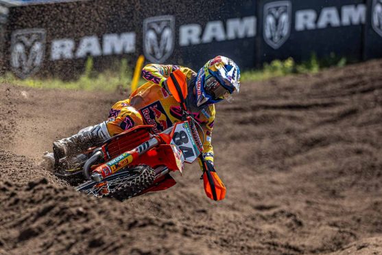 Herlings arnhem 24