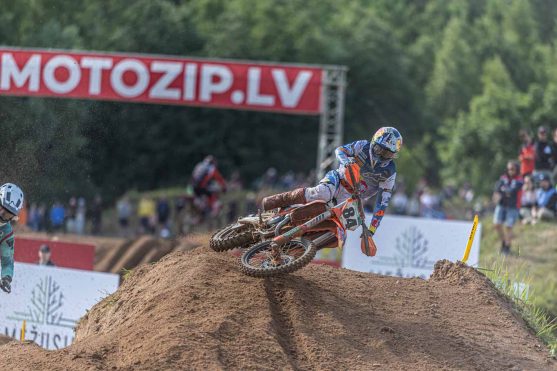 Herlings latvia 24 2