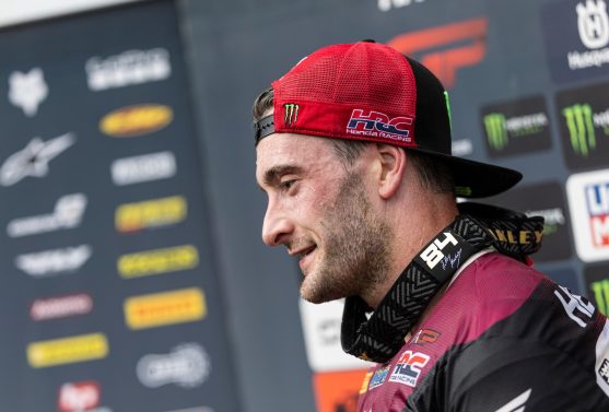Herlings