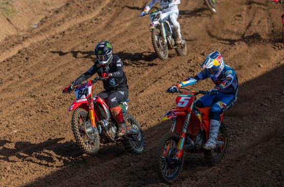 Herlings_Lucas