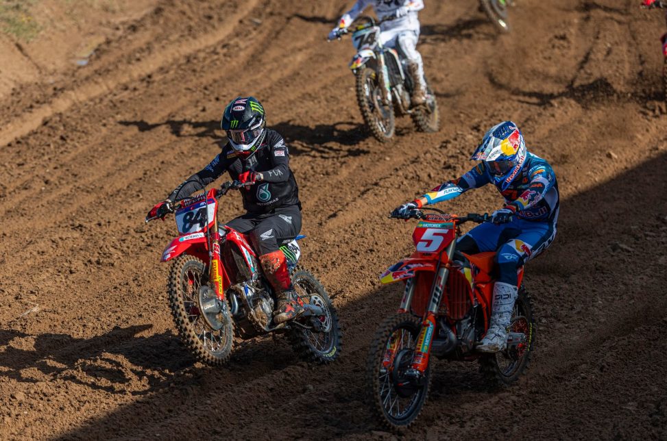 Herlings_Lucas