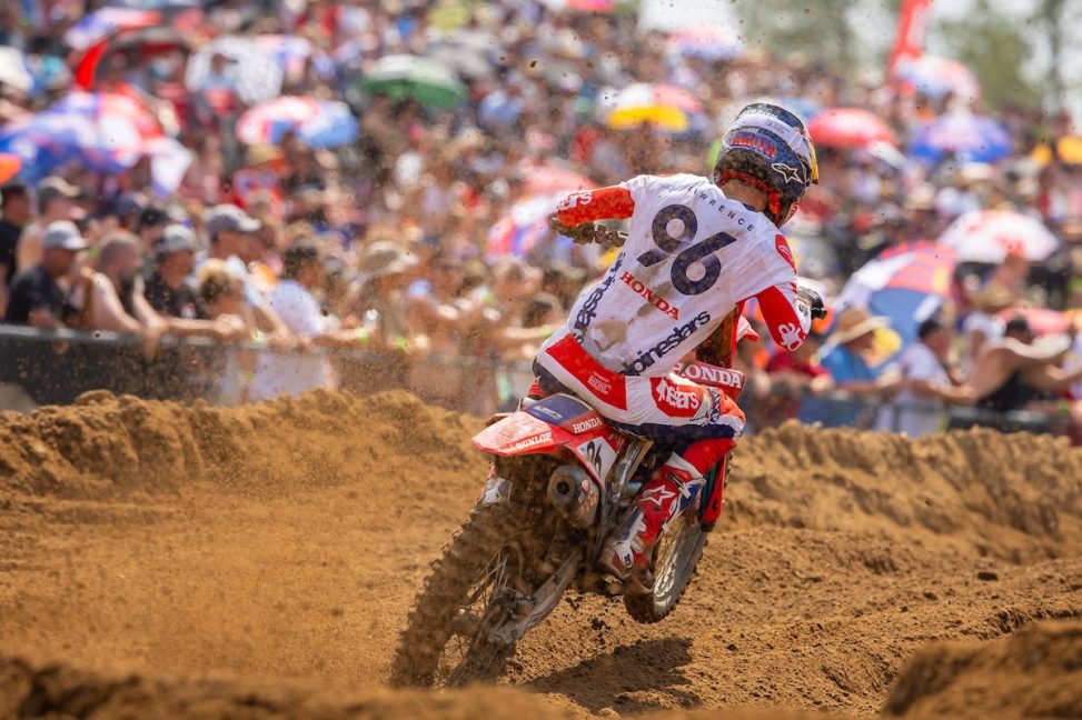 Hunter Lawrence red bud 25