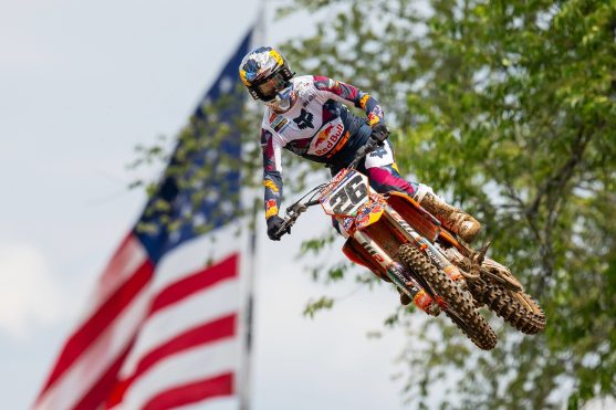 Prado RedBud 26