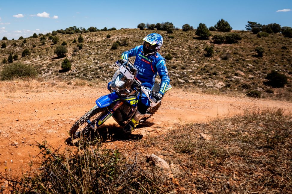 SANTOLINO-BAJA-ARAGON-2025