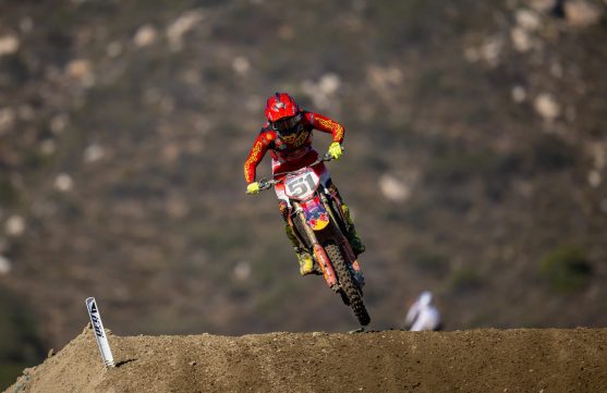 barcia