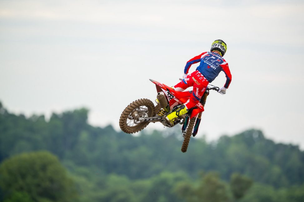cairoli red bud 25