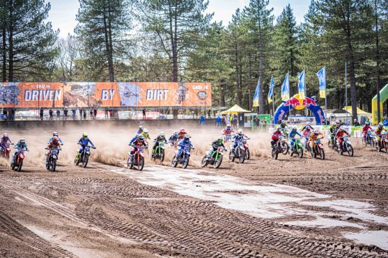 dutch masters heerde 26