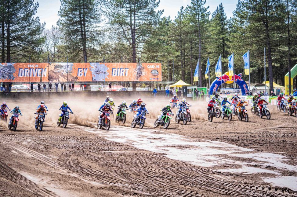 dutch masters heerde 26