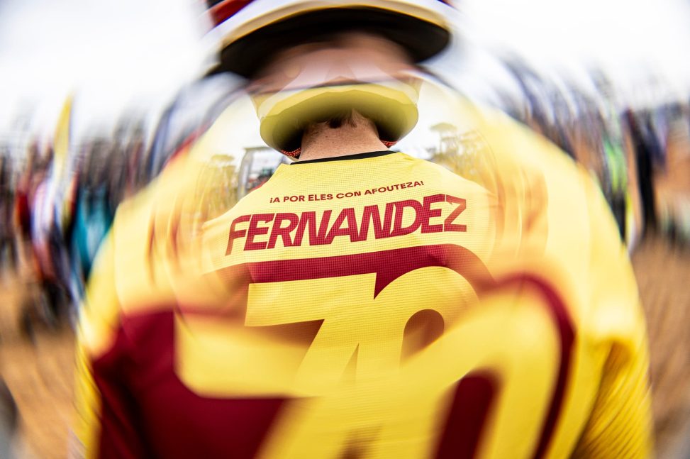fernandez