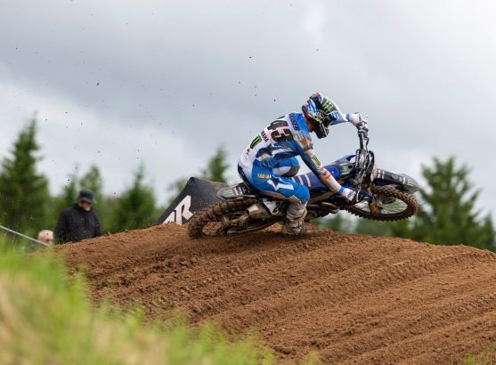 gajser