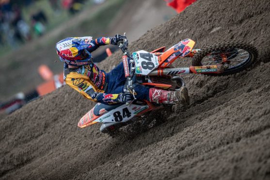 herlings-1