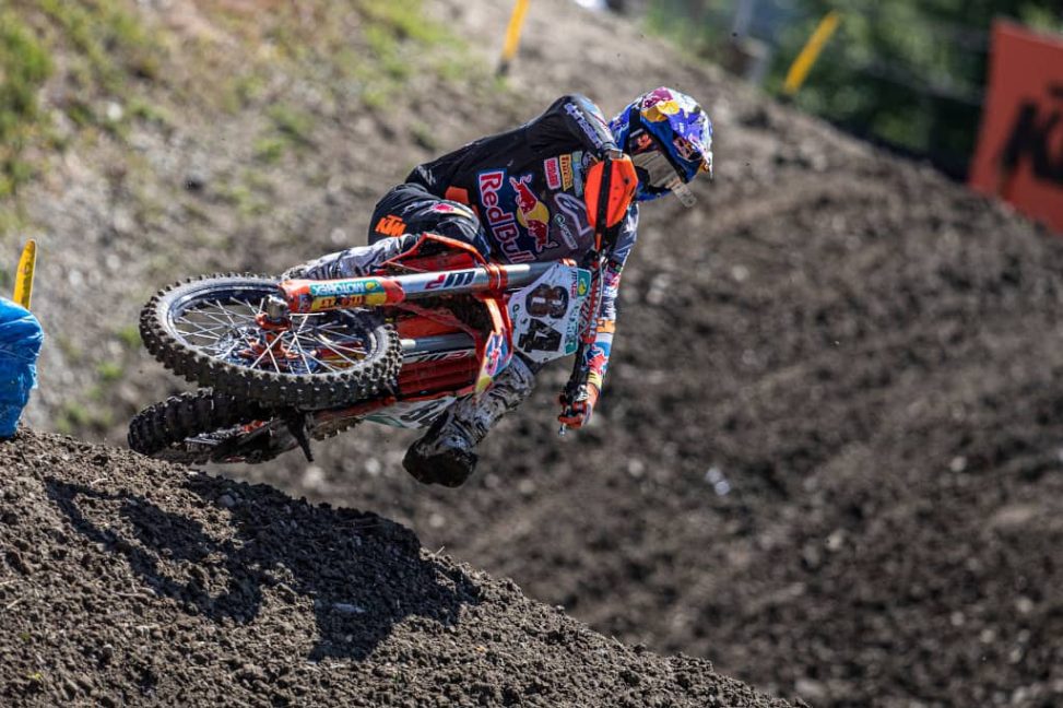 herlings