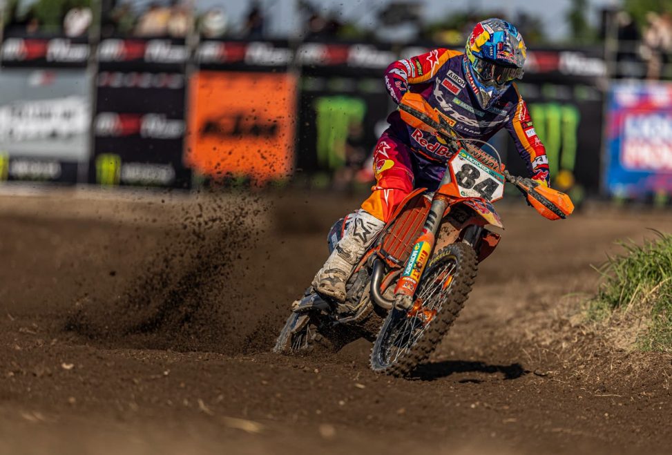 herlings