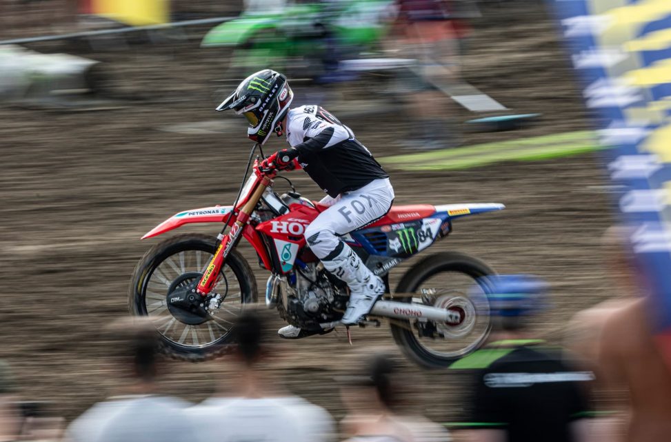 herlings