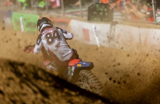 herlings