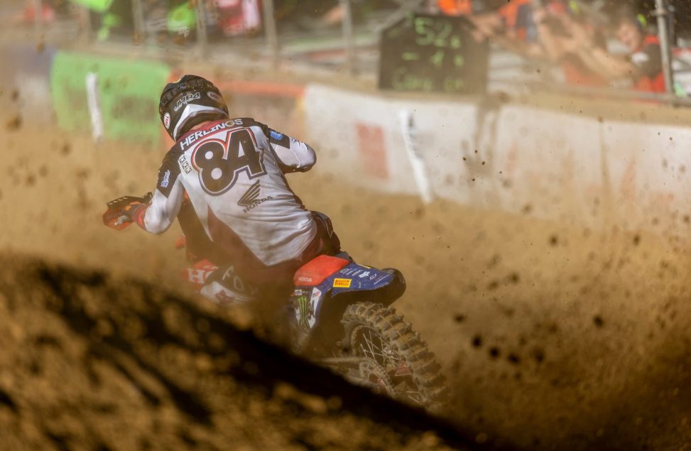 herlings