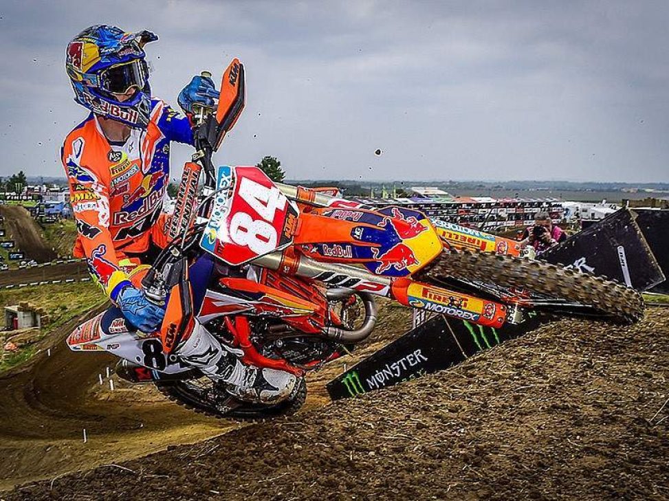 herlings