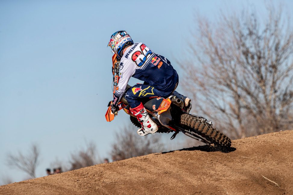 herlings