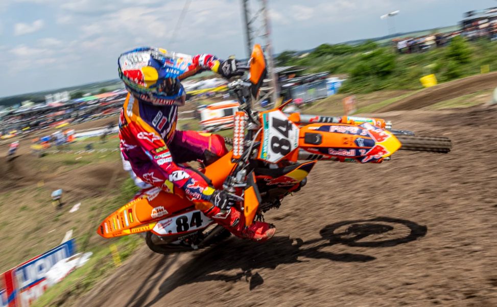 herlings