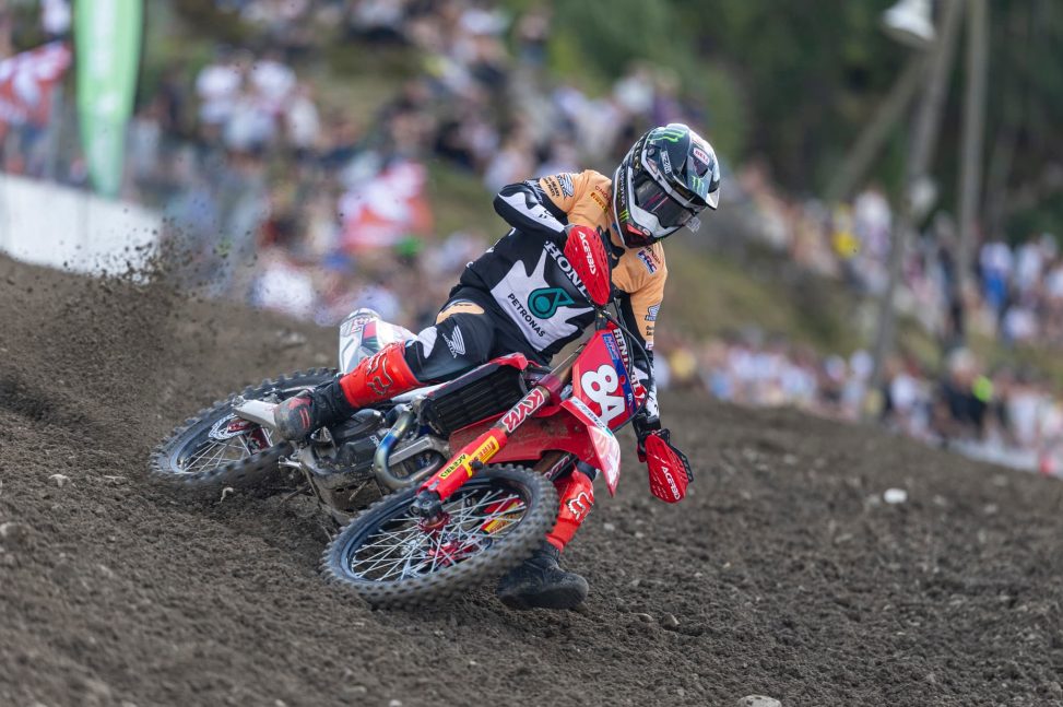herlings