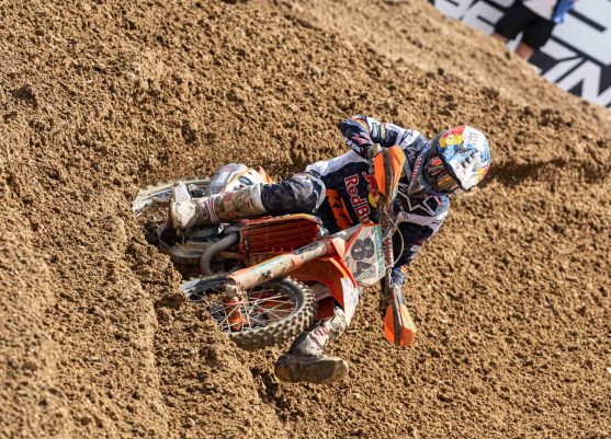 herlings